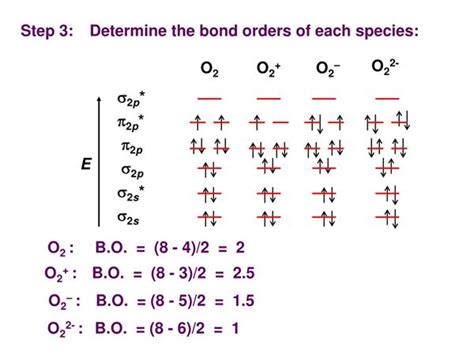 Molecular Orbital Diagram Of Oxygen