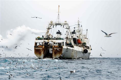 Lessons gleaned from chasing Antarctica's supertrawlers | Adventure.com