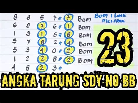 PREDIKSI SYDNEY 13 JUNI 2024 TUNGGAL SDY KEPALA EKOR BOCORAN SDY