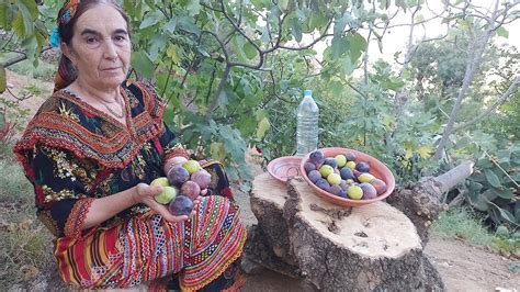 kabylie Cueillette Des Figues La vie quotidienne à la campagne