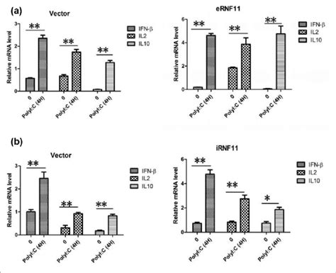 Poly I C Transfection Induces The Production Of Ifn β Il2 And Il10 Download Scientific