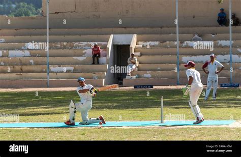 Riebeeck West Swartland Western Cape South Africa November 2019