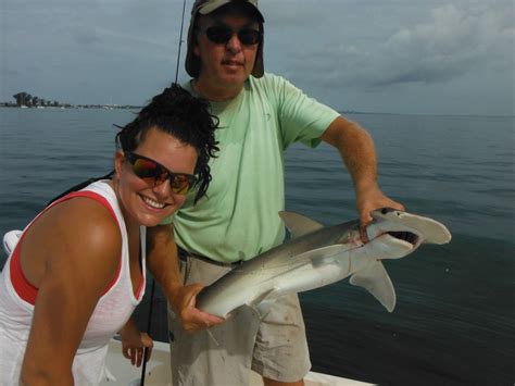 Top Siesta Key Game Fish Fishing With Capt Jim