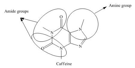 Circle The Functional Group S In Caffeine Write The Name Of The