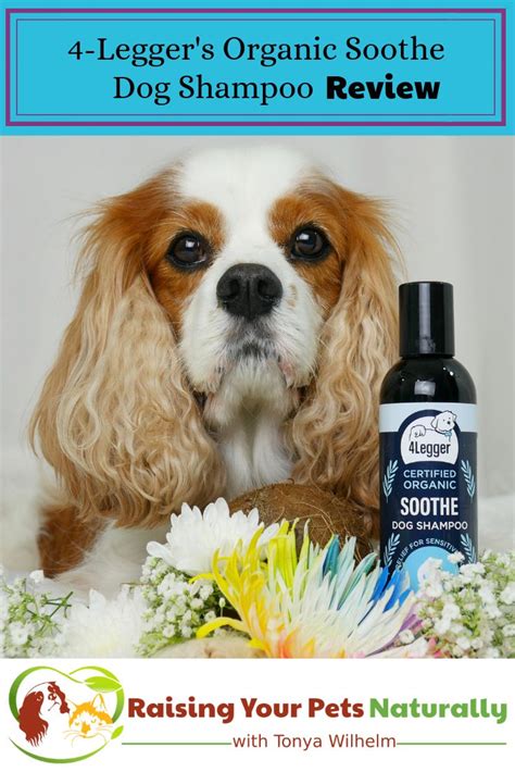 Hypoallergenic and Fragrance Free All Natural Dog Shampoo | 4-Legger ...