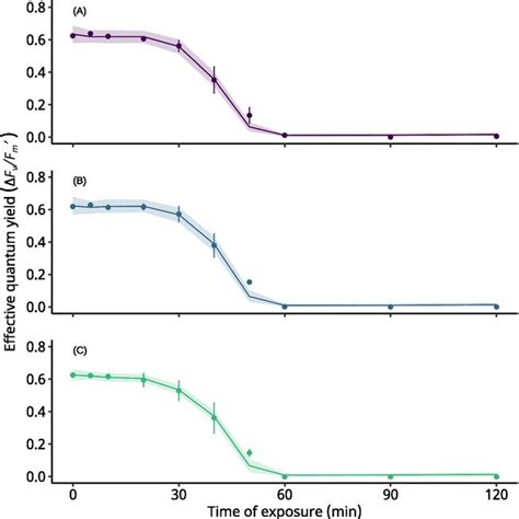 The Chronological Response Of Photochemical Efficiency F Fm In A