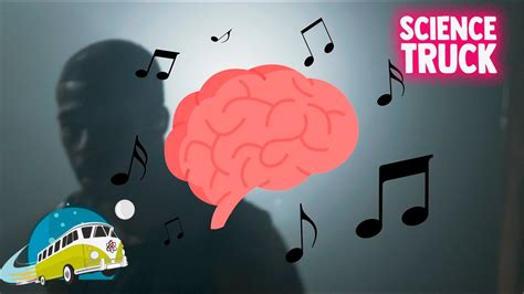 QUÉ HACE LA MÚSICA EN NUESTRO CEREBRO SCIENCETRUCK12 YouTube