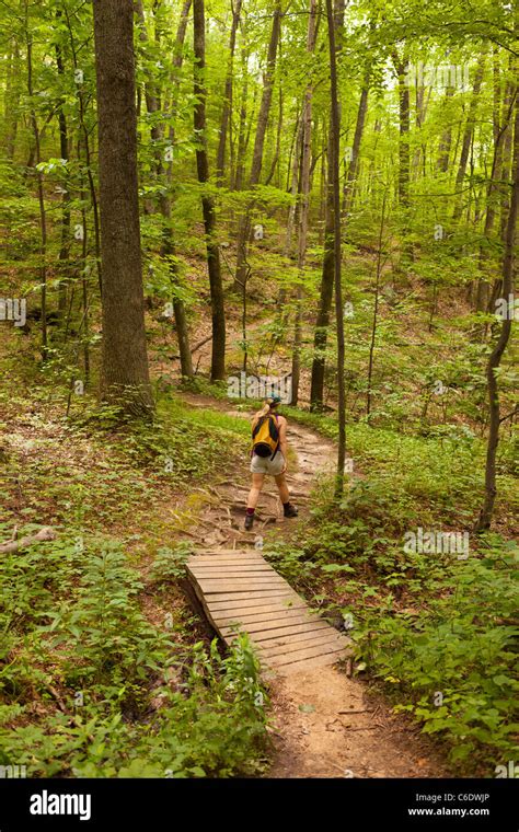 Appalachian Trail Virginia Usa Woman Hiker On Trail To Mcafee Knob