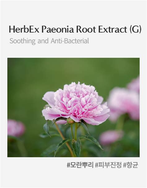 Herbex Paeonia Root Extract G