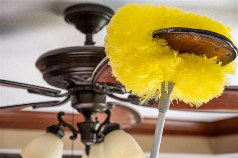 How To Clean And Maintain Your Ceiling Fan Shw Blog