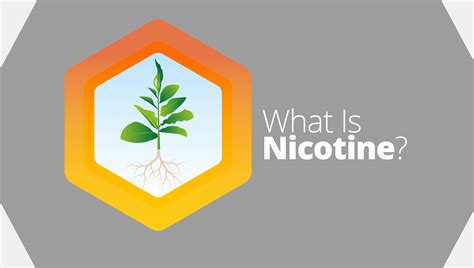 What Is Nicotine Imperial Brands Science