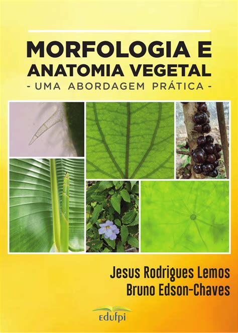 Pdf Morfologia E Anatomia Vegetal Uma Abordagem Pr Tica