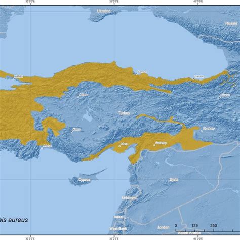 The Distribution Map Of Gray Wolf Download Scientific Diagram