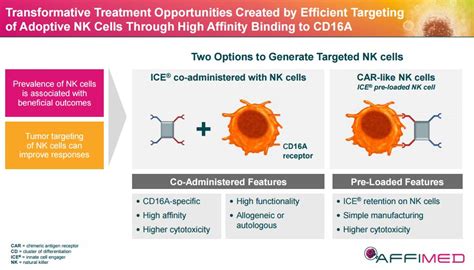 Cd30cd16a Double Anti Afm13 Cord Blood Derived Nk Cells Have