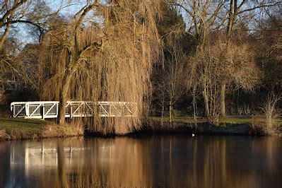 Zwei Linden Vor Dem Haus Ein Paar Fotos Aus Dem Steindammpark