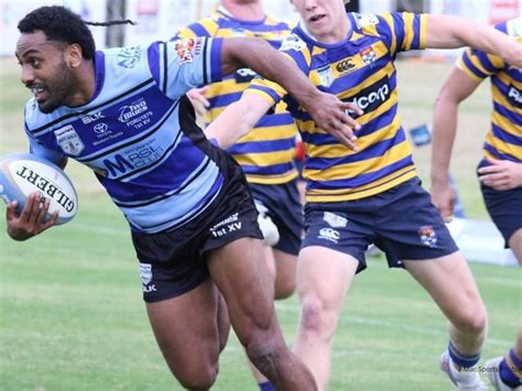 Shute Shield Transfer Centre 2024 Player Movements From Every Club