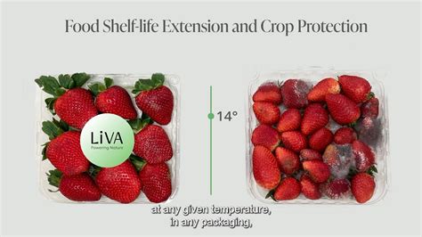 LiVA Fights Microbial Food Spoilage Using The Natural Act Of Good