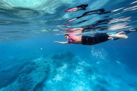 Foto Desa Wisata Pulau Derawan Punya Spesies Terumbu Karang