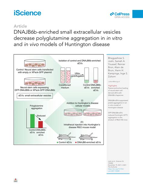 PDF DNAJB6b Enriched Small Extracellular Vesicles Decrease