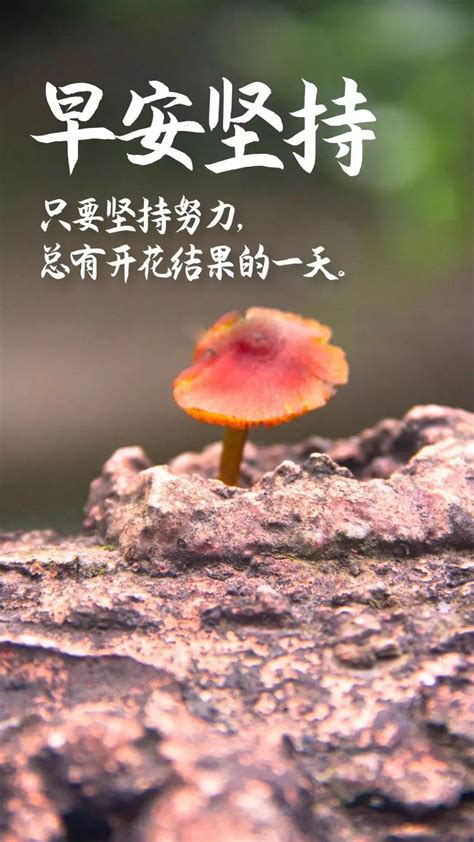 冬天暖心的早安心語正能量 早安正能量文案短句 太闲吧