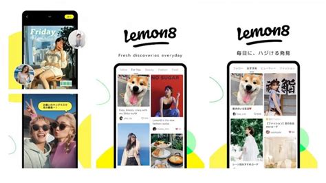 Así es Lemon8 la nueva aplicación de los creadores de TikTok