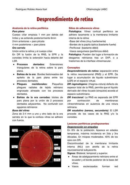 Resumen De Desprendimiento De Retina Medicina Desprendimiento De