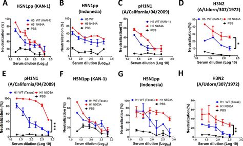 Unmasking Stem Specific Neutralizing Epitopes By Abolishing N Linked