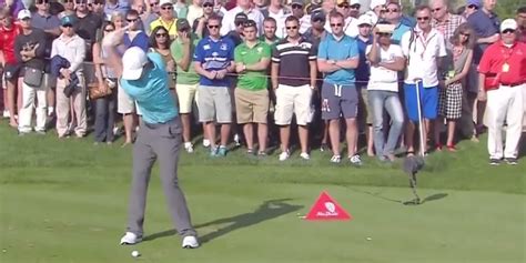 Rory Mcilroy Makes First Hole In One As A Pro Huffpost