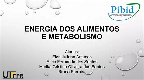 Energia Dos Alimentos E Metabolismo 1 Pptx