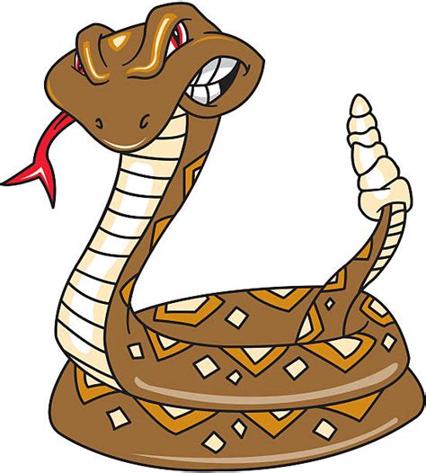 Rattlesnake Clip Art Vector Images And Illustrations Istock