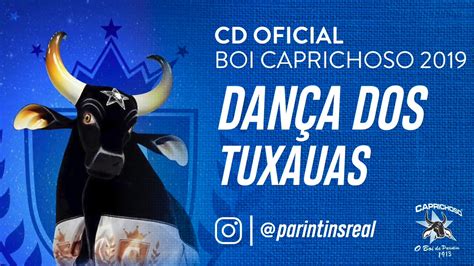 Toada Oficial Boi Caprichoso Dan A Dos Tuxauas Youtube