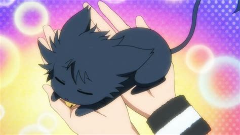 Kuro In Cat Form Anime Akira Anime Anime Love