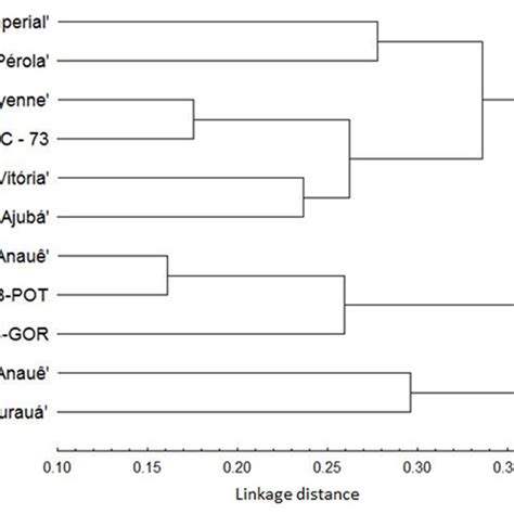 Dendrogram Of The 11 Pineapple Genotypes Based On The Gower Algortithm