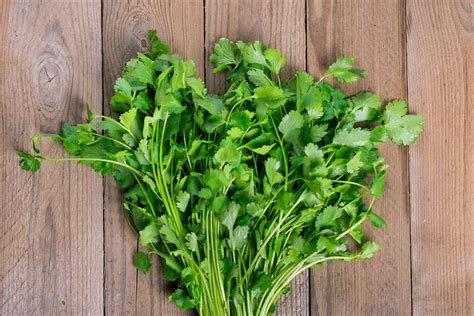 9 Incredible Health Benefits Of Cilantro Live Love Fruit