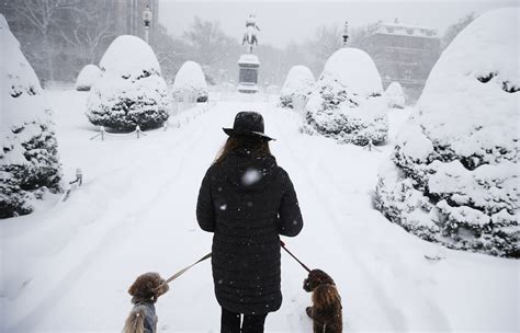 Record snowfall in Boston, Providence from cold, windy, snowy stubborn storm system - The Boston ...