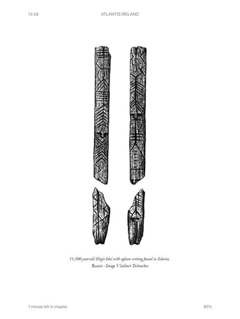 Shigir Idol