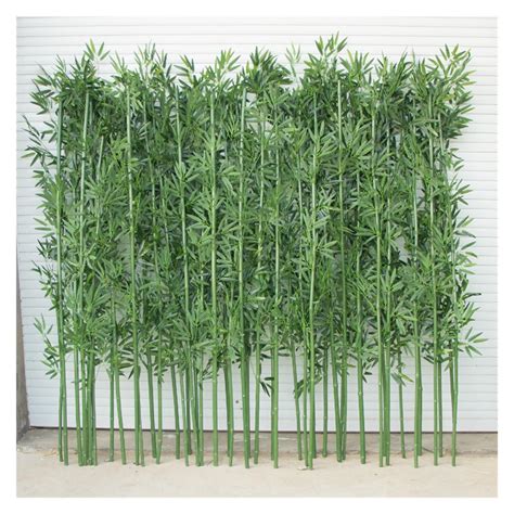 Tall Bamboo Plants For Privacy Fencing How To Get Rid Of Bamboo From