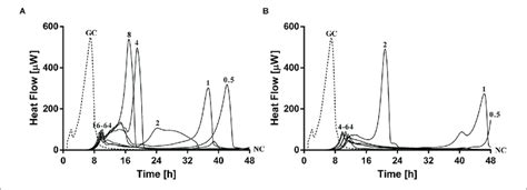 Evaluation Of Mrsa Atcc P Aeruginosa Atcc Dual Species