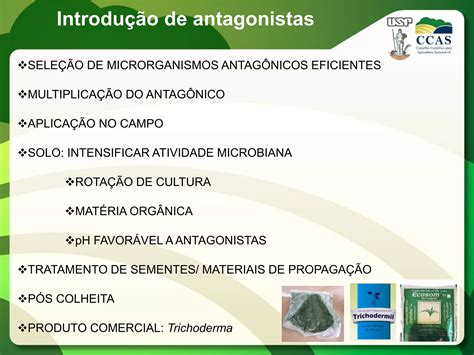 Manejo Integrado De Doenças De Plantas Ppt