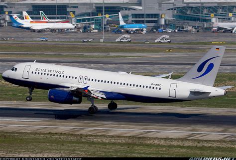 Airbus A320 232 Blue Wings Aviation Photo 1193048