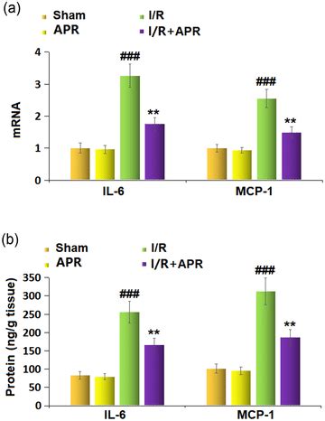 Effects Of Apremilast On The Expression Of Proinflammatory Cytokines