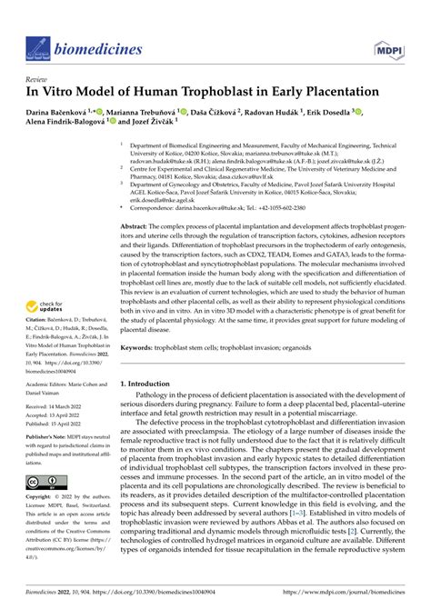 Pdf In Vitro Model Of Human Trophoblast In Early Placentation