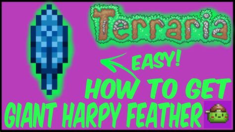 How To Get Giant Harpy Feather In Terraria Terraria Youtube