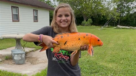 Catching Big Koi And A Pound Bluegill Crazy Youtube