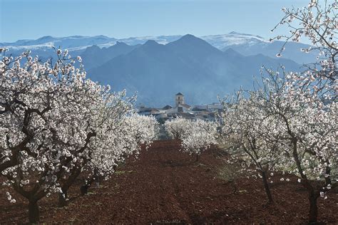 Fragancias De Invierno Paisajes Comunidad Nikonistas