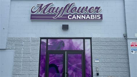 Mayflower Lowell Lowell Ma Dispensary Leafly