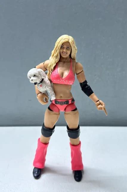 MATTEL WWE ELITE Ruthless Aggression Torrie Wilson Action Wrestling