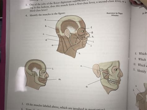 Apologia Human Anatomy Module Study Guide Flashcards Quizlet