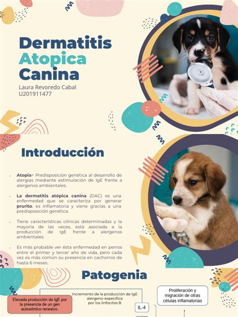 D A C Dermatitis Atopica Canina Pdf Alergia Medicina Clinica