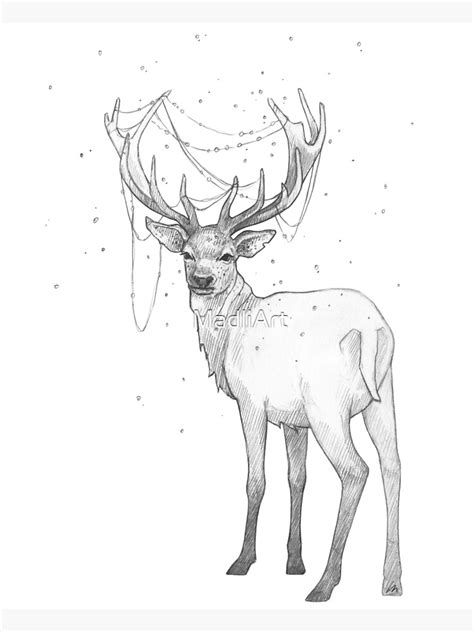 "Christmas Reindeer Rudlof - Black& White Pencil Line Sketch - Drawing ...